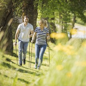 Wandern & Walken in Fischbach