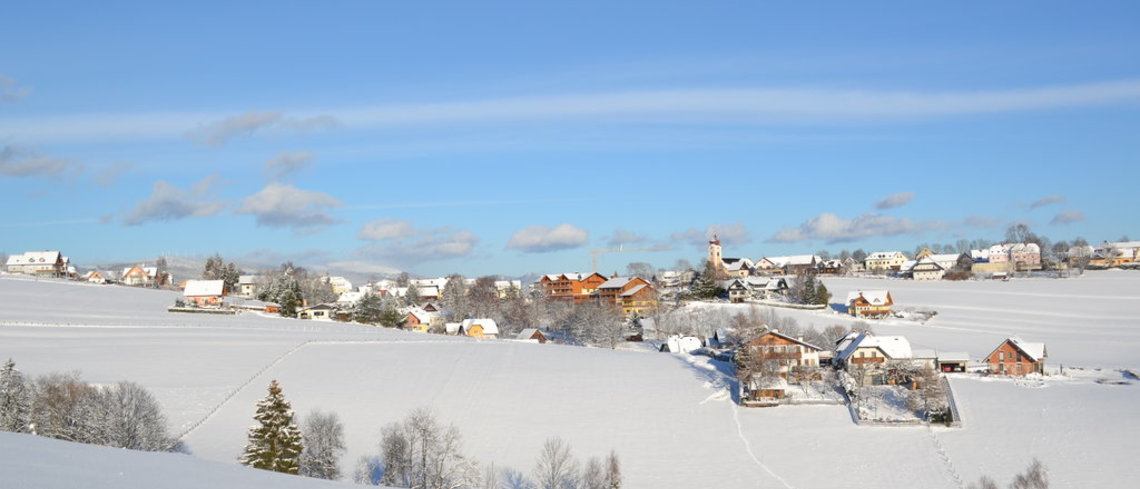 Fischbach im Winter