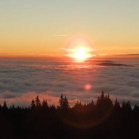 Fischbach über dem Nebel