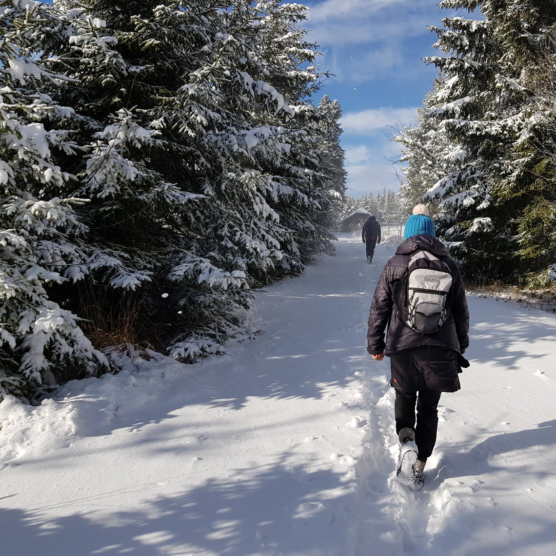 Winterwanderung auf den Teufelstein