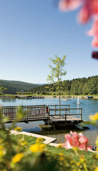 Frühlingserwachen & Sommerfrische