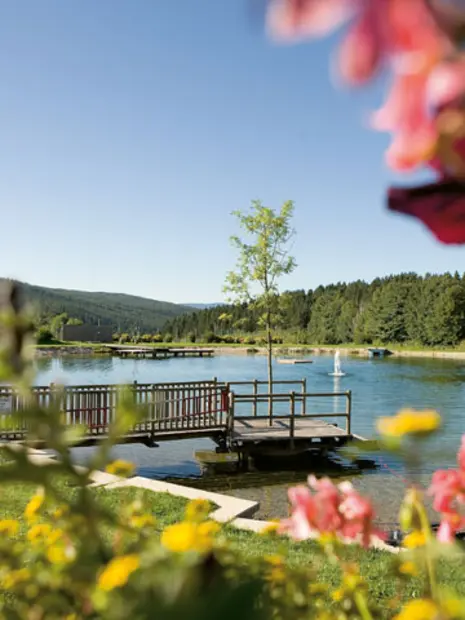 Urlaubsangebote Dorfhotel Fasching