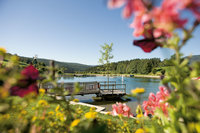 Frühling und Sommer in Fischbach