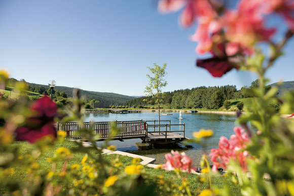 Sommer in Fischbach