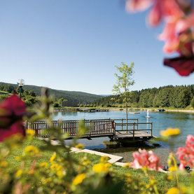 Naturbadeteich Fischbach in nur 100 Meter Entfernung