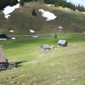 Pilgerweg Mariazeller Weg 06