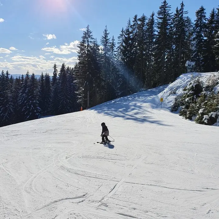 Familienschiberg St. Jakob im Walde