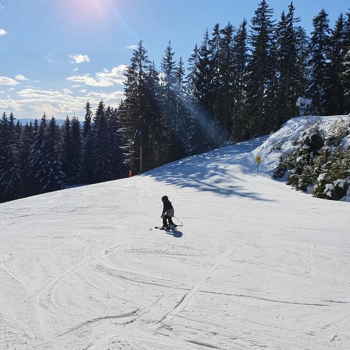 Familienschiberg St. Jakob im Walde