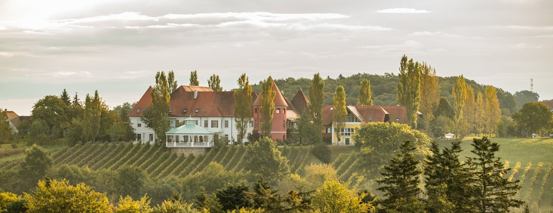 Weinschloss Koarl Thaller (c) Weinschloss Koarl Thaller