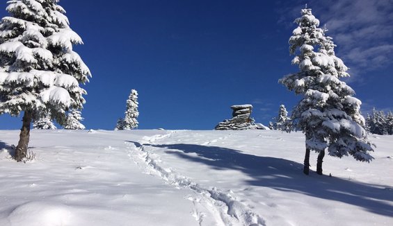 Teufelstein im Winter (c) Andrea Adler-König