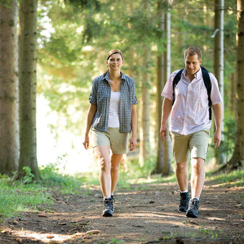 Wandern in den Fischbacher Wäldern