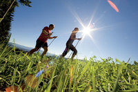 Wandern und Walken in Peter Roseggers Waldheimat