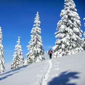 Schneeschuwandern, Skitouren Fischbacher Alpen