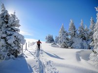 Winterwohlfühltage im Dorfhotel Fasching