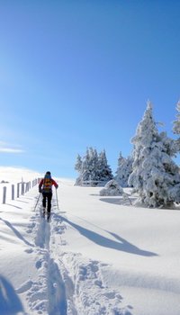 Winterwohlfühltage im Dorfhotel Fasching