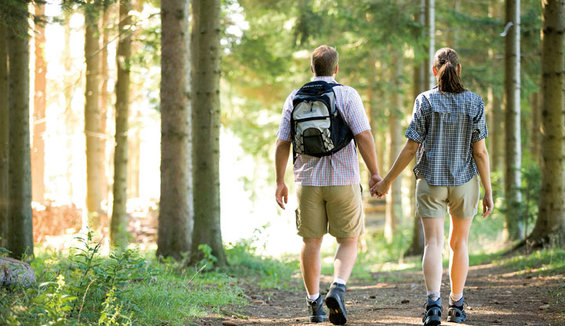 Spaziergang im Wald