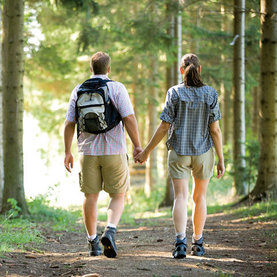 Wandern in den Fischbacher Wäldern